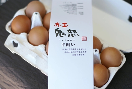 [定期便／12ヵ月] 平飼い新鮮卵「鬼怒」40個×12回 計480個 白身も美味い！ [0726]