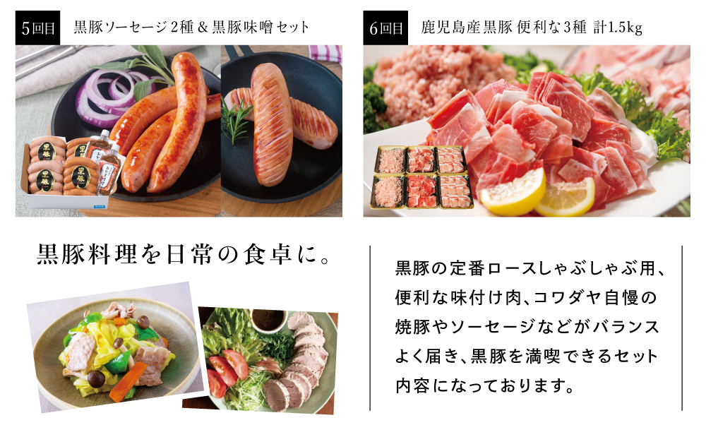 【定期便】黒豚のプロフェッショナル「コワダヤ」の厳選黒豚味わい尽くしコース（全6回） しゃぶしゃぶ 生姜焼き 焼き豚 焼豚 ウインナー ソーセージ ロース 切落し 切り落とし 鹿児島県産 冷凍