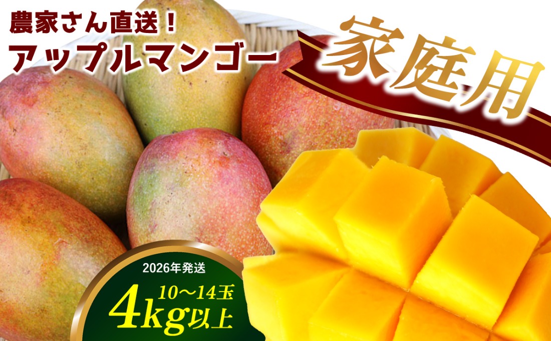 【2026年発送】農家さん直送！アップルマンゴー4kg以上　家庭用 アーウィン 果物 甘い 夏 濃厚 ギフト Mango ランキング 完熟 お気に入り 収穫 人気 甘味 フルーツ 沖縄県 先行予約 食品 デザート 産地直送 送料無料