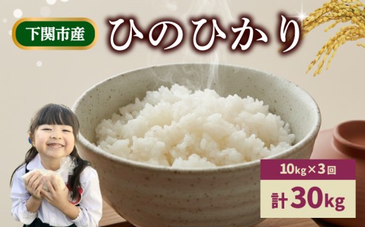 【定期便 3ヶ月】令和7年産 米 ひのひかり 10kg お届け回数3回 お米 白米 こめ コメ ご飯 ごはん ライス 菊川町 きくがわ林菜果 下関 山口