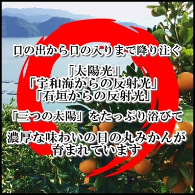 果汁しっかり自然の恵み!「ガキ大将」3kg(小玉サイズ)/日の丸みかん/ご家庭用【C79−16】【1452039】