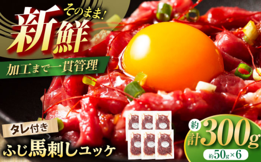 フジチク ふじ 馬刺し ユッケ 計約300g ( 約50g × 6個 ) 馬肉 熊本県 /  馬刺し 馬刺 専用たれ付き ユッケのたれ 赤身 馬刺 冷凍 送料無料 おすすめ オススメ 熊本 熊本県産 おつまみ 馬肉 専用醤油 たれ  晩酌 つまみ あっさり ばさし 専用醤油付き 赤身  冷凍 約300ｇ ６個入り 旨味 とろける 【株式会社フジチク】[BHAD004]