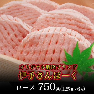 伊予さんぽーくトンテキ・しょうが焼用セット