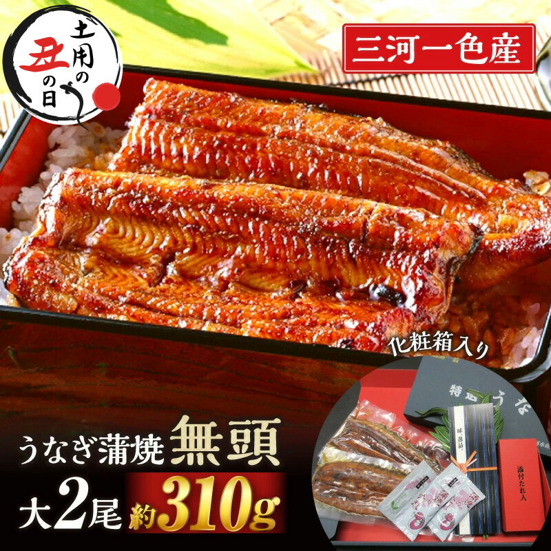 三河一色産うなぎ蒲焼　大サイズ2尾入り【蒲焼パック冷凍×2尾（1尾約155g）】 M044-15 【冷凍便】 国産 無頭 三河産 日本産 愛知県産 鰻 タレ付き たれセット さんしょう MB