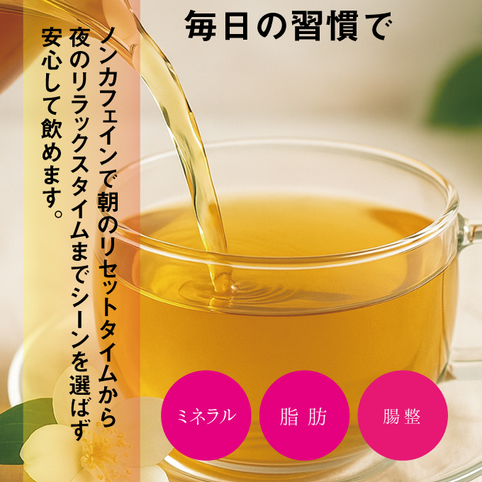 焙煎 わかめ茶 約2g×14袋入り×2箱セット 海藻漁師が自宅で飲むお茶 天然 海藻 無添加商品   ティーバッグ 鉄分豊富  瀬戸内ぽたり  自然派女子のキレイ習慣 鉄分 カルシウム マグネシウム 