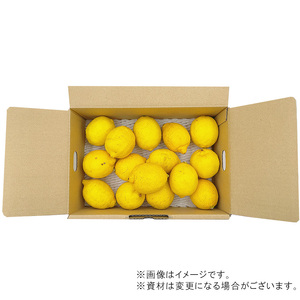 【11月上旬より発送】中島産 レモン M から L サイズ 約1.5kg | （先行予約 檸檬 レモン 国産 柑橘 レモンジャム レモンサワー ピール 中島 愛媛 松山 ） 【FA0921】