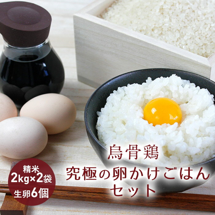 【ふるさと納税】【烏骨鶏】究極の卵かけごはんセット F4D-0113