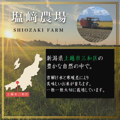 ふるさと納税 上越市 先行予約【10月中旬より順次出荷予定】令和8年産 新潟県 上越市産 新之助 5kg 白米 精米 |  | 01
