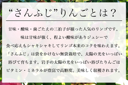 サンふじ 3kg 贈答用 りんご 岩手 紫波町産 秀品 (DV053)