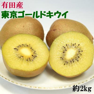 ふるさと納税 有田川町 【数量限定】キウイフルーツの新品種「東京ゴールド」約2kg(サイズ混合)