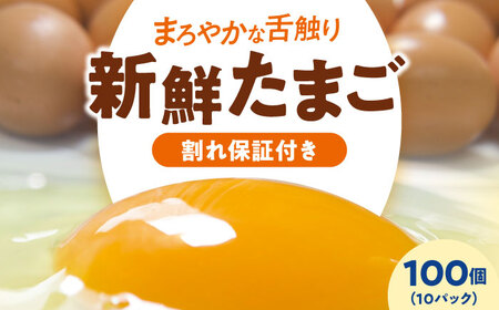 平飼い 海草たまご 10パック（100個入り）割れ保証あり 愛媛県大洲市/和田養鶏場 卵 たまご 鶏卵 卵料理 玉子[AGDQ004]