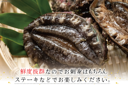 海鮮 魚介 三陸 天然 活き締めアワビ 絶品 酒蒸しアワビ 各5個 計10個