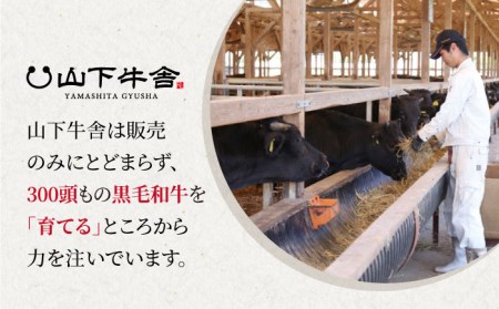 【ご家庭のハンバーグを1ランク上げる】佐賀牛 ミンチ 600g（300g×2）【山下牛舎】黒毛和牛 牛肉 ミンチ肉 小分け [HAD115]