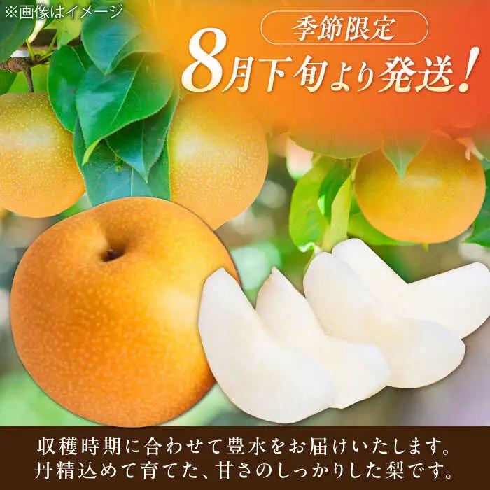 梨 豊水 5kg 梨 [AFAB023] 
