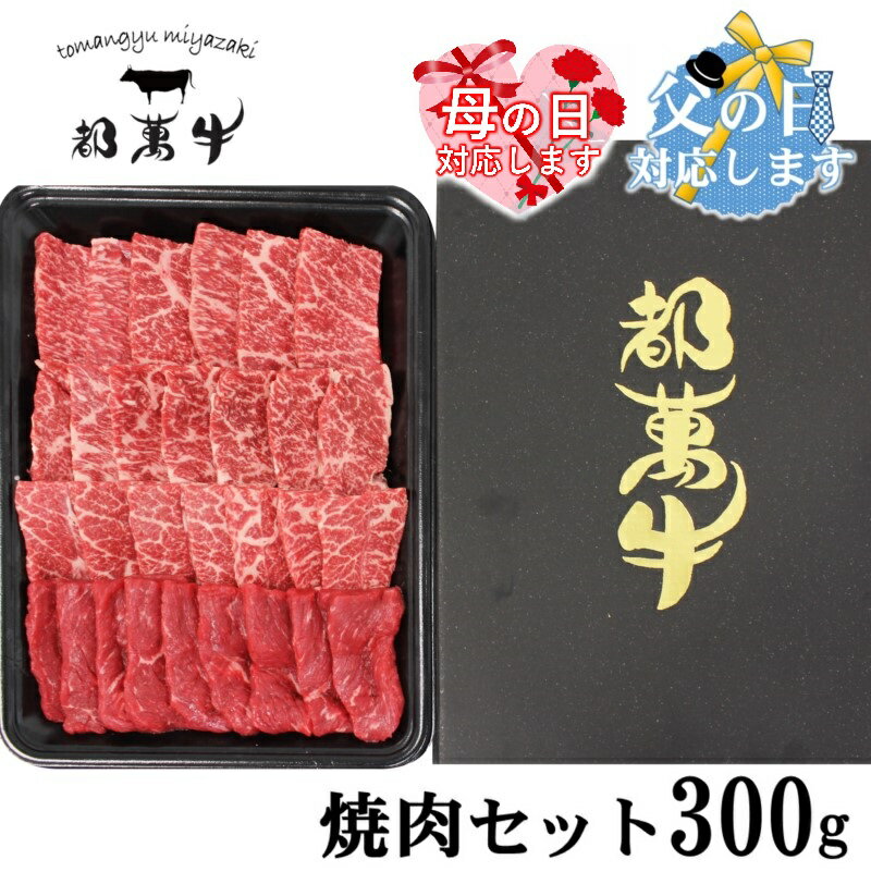 【ふるさと納税】都萬牛 焼肉セット300g ふるさと納税 黒毛和牛 焼肉 国産 牛肉 宮崎 国産牛＜6-4a＞『母の日ギフト対応品』『父の日ギフト対応品』