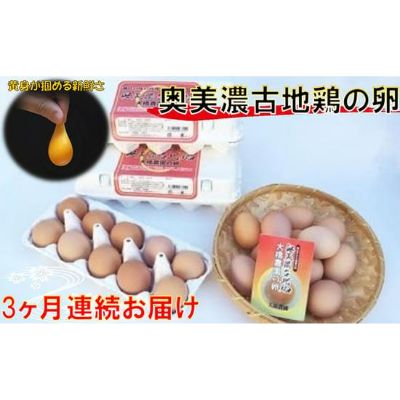 【ふるさと納税】卵 定期便 3ヶ月 神代の味の再現 奥美濃古地鶏の卵 鶏卵 たまご　定期便・ 地鶏 玉子 お楽しみ