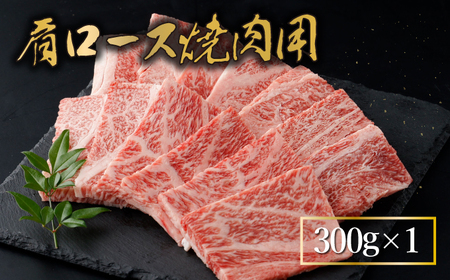 KU429 宮崎牛 赤身 モモ肉と肩ロースの焼肉セット 計700g(宮崎牛赤身モモ焼肉用400g、肩ロース焼肉用300g)