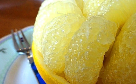 土佐文旦 10kg 4Lサイズ（ご 家庭用 ） 植田農園 ［1536］