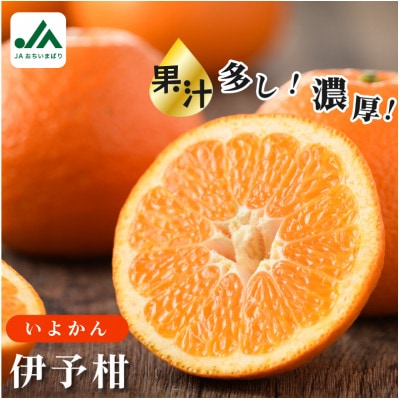 【先行予約】伊予柑 10kg いよかん 果汁たっぷり 家庭用 KB02080【1082878】
