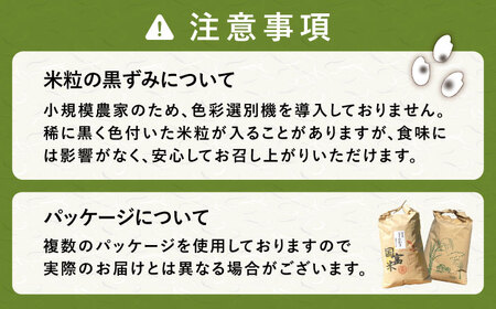 【先行予約】【令和6年産 新米】 福井県産こしひかり 白米 10kg【2024年9月中旬より順次発送】[A-046003]