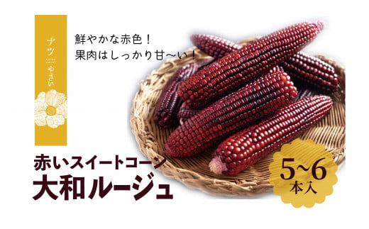 【R6年収穫分】　ナツやさい　9月の旬　日本初の赤トウモロコシ「大和ルージュ」　5本/009-22315-b01A