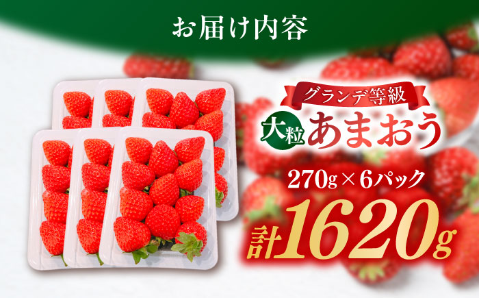 【2026年3月初旬より順次発送】 あまおう いちご 1620g (約270g×6パック) 吉富町/株式会社HSP-テクノ [BGBQ002]