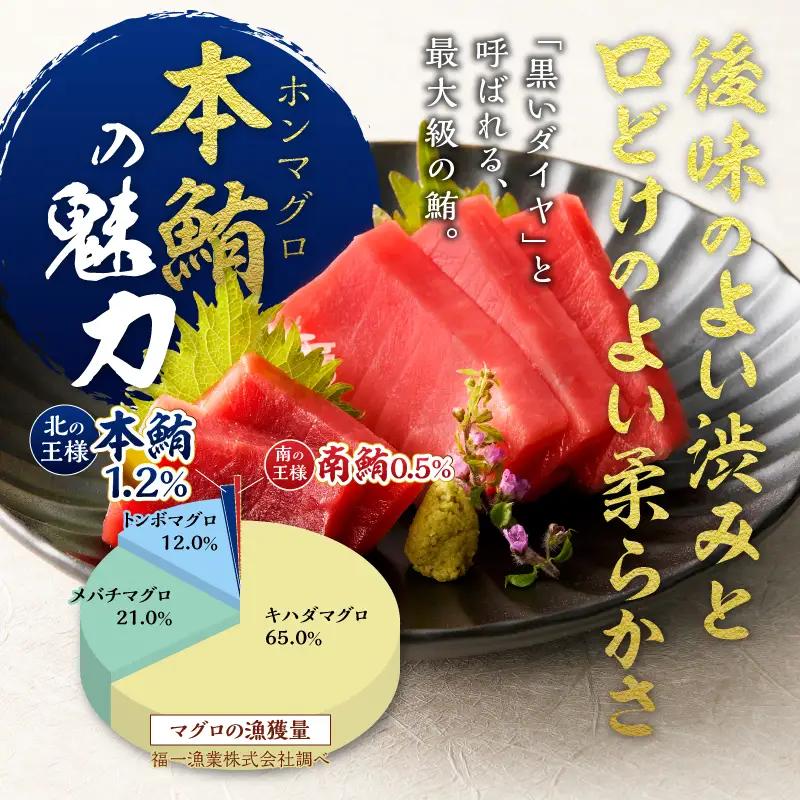 マグロ 赤身 訳あり 刺身 ホンマグロ 天身 約500g 訳あり OR FN-SupportProject OR 増量 OR 年末企画 訳あり (a10-1077)
