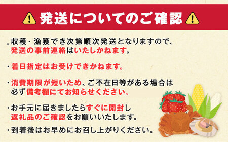 2024年受付開始！こだわり農家の 喜茂別産 ぜいたくトマト【富田農園】