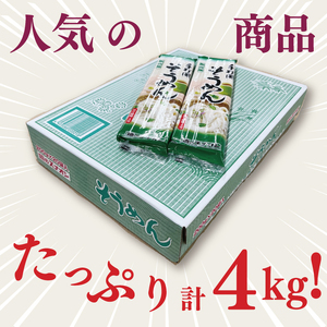 【麺のスナオシ】手打風そうめん１箱　4kg（200ｇ×20袋）（乾麺）【素麺 麺 長期保存 保存食 防災 人気 大容量 水戸市 茨城県】（BY-9）