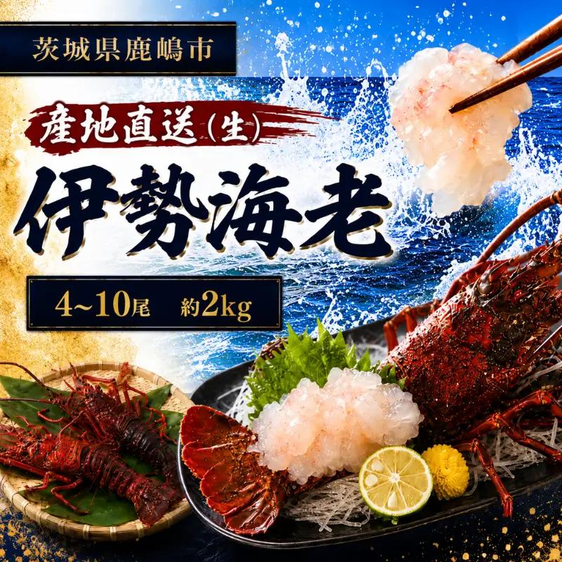 【 伊勢海老 】 約2kg 4～10尾 生 伊勢海老