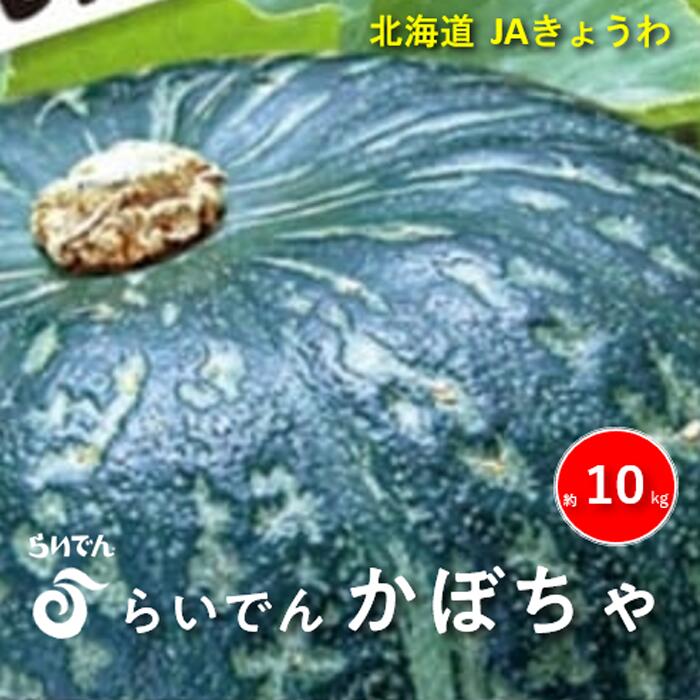 【ふるさと納税】2025年 8月 出荷 先行予約 らいでん 南瓜 ダークホース 6玉 約 10kg かぼちゃ パンプキン 北海道 共和町 産地直送 JAきょうわ 野菜 　お届け：2025年8月下旬〜9月下旬迄