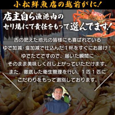 ふるさと納税 越前町 地元鮮魚店厳選 ≪浜茹で≫ 越前がに 大サイズ 1杯【1月発送分】 |  | 01