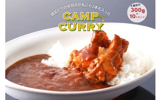 
【キャンプカレー】大容量300gのレトルトカレー10食セット！
