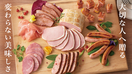 日本ハム 筑西工場 ギフトセットB 肉 にく 贈答 ギフト 詰め合わせ ハム ソーセージ ウィンナー 生ハム 焼豚 [AA081ci]