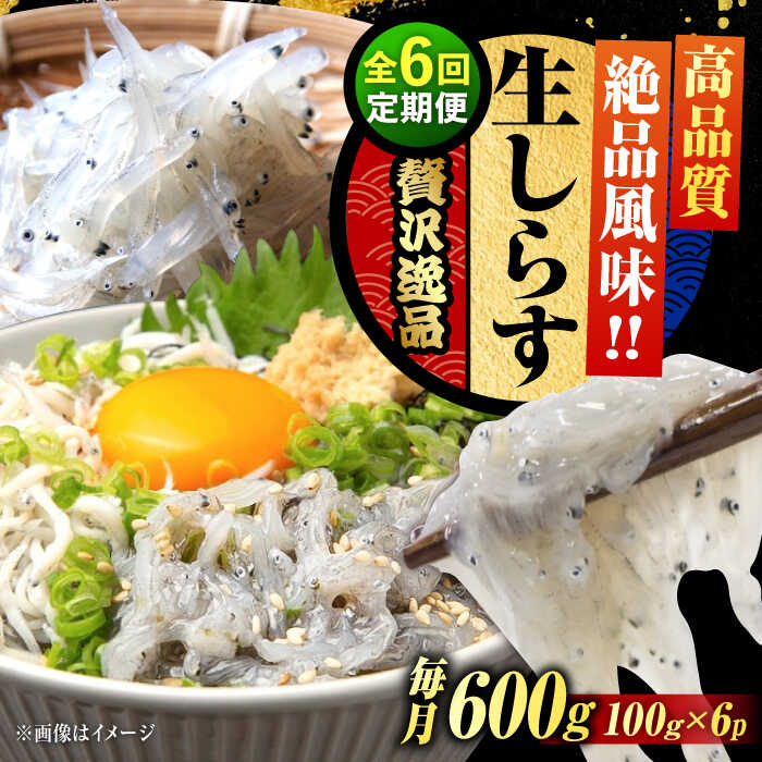 【ふるさと納税】【全6回定期便】鮮度抜群 生しらす 100g×6個 しらす 釜揚げ 冷凍 シラス 小分け パック 干し 魚介類 鮮魚 海鮮 海産物 セット 詰め合わせ ギフト 広島県産 人気 送料無料 江田島市/三島水産株式会社[XCN021]
