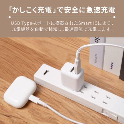 ふるさと納税 海老名市 (オウルテック)最大12W出力 USB Type-A×2 AC充電器 |  | 02