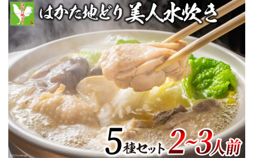 はかた地どり 美人水炊きセット 鶏肉2種 スープ 麺 コラーゲン 計5種 2～3人前 [MEAT PLUS 福岡県 筑紫野市 21760711] 水炊き セット 鶏 鶏肉 とり肉 鶏団子 福岡 博多 国産