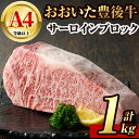 【ふるさと納税】豊後牛サーロインブロック(約1kg)牛肉 お肉 豊後牛 牛サーロイン ブロック肉【106402600】【まるひで】