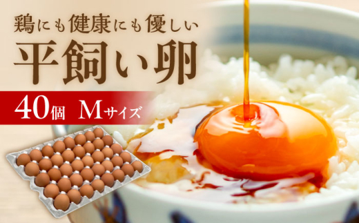 平飼い 卵  「 天上卵 」 40個 セット 《糸島》 【株式会社おおはまファーム】 [AKH005] 鶏卵 平飼い 平飼い卵 玉子 たまご 高級 自然 新鮮 自家配合飼料