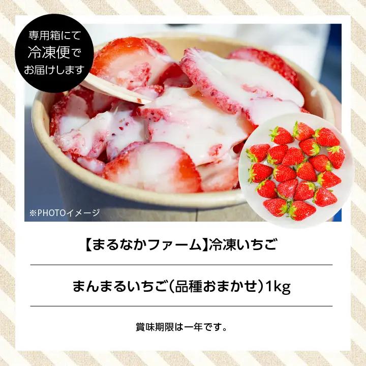 いちご 完熟冷凍いちご 1kg