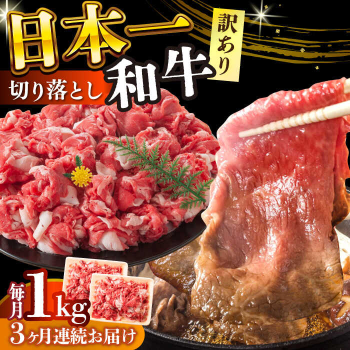 【ふるさと納税】【全3回定期便】【訳あり】【A4〜A5】長崎和牛焼肉切り落とし(肩ロース・バラ）　1kg（500g×2p）【株式会社 MEAT PLUS】[DBS046]