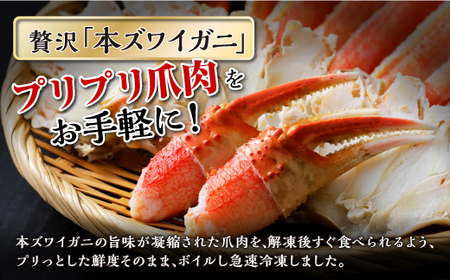 訳あり ズワイガニ 爪肉 500g_I009-1317