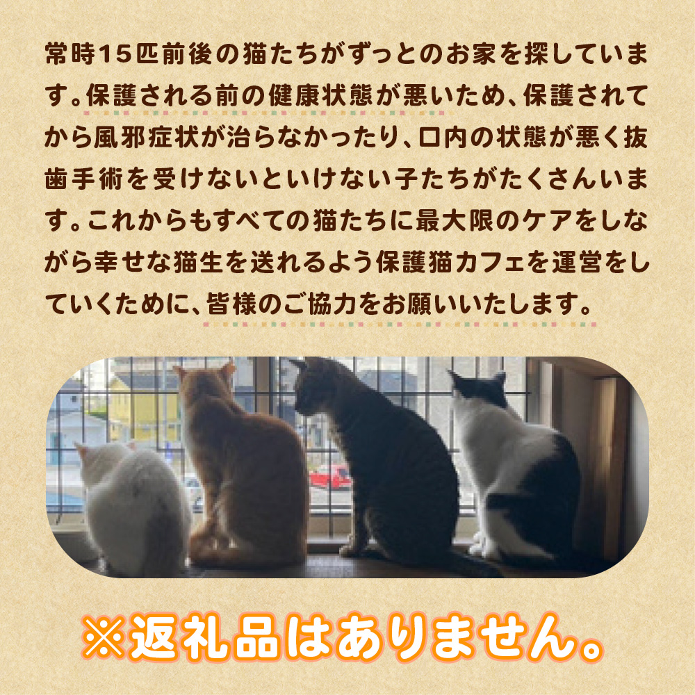 里親募集保護猫カフェの支援【お礼の品なし】 BR06