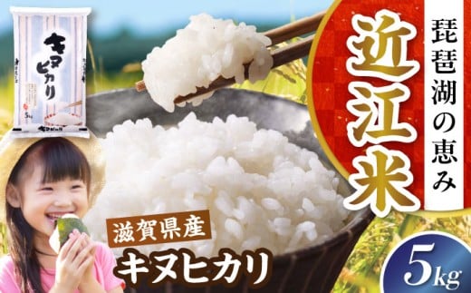 【令和7年産新米】キヌヒカリ 5kg 白米 滋賀県長浜市/株式会社コメック [AQDH003] 米 お米 白米 5kg きぬひかり 滋賀県産 長浜市産 こめ 精米 お米 新米 食品 国産 米ギフト ブランド米 食卓 美味しい 冷めても美味しい 人気 お弁当 和食 琵琶湖の恵み ご飯のお供 夜ごはん 昼ごはん 朝ごはん 上品な 甘み あっさり カレー 丼 丼もの