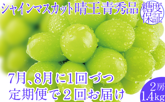 2026年予約受付中【2回定期便】シャインマスカット晴王2房 約1.4kg 7月8月に出荷 人気 岡山県産 種無し 皮ごと食べる みずみずしい  フレッシュ 晴れの国 おかやま 果物大国 ハレノフルーツ