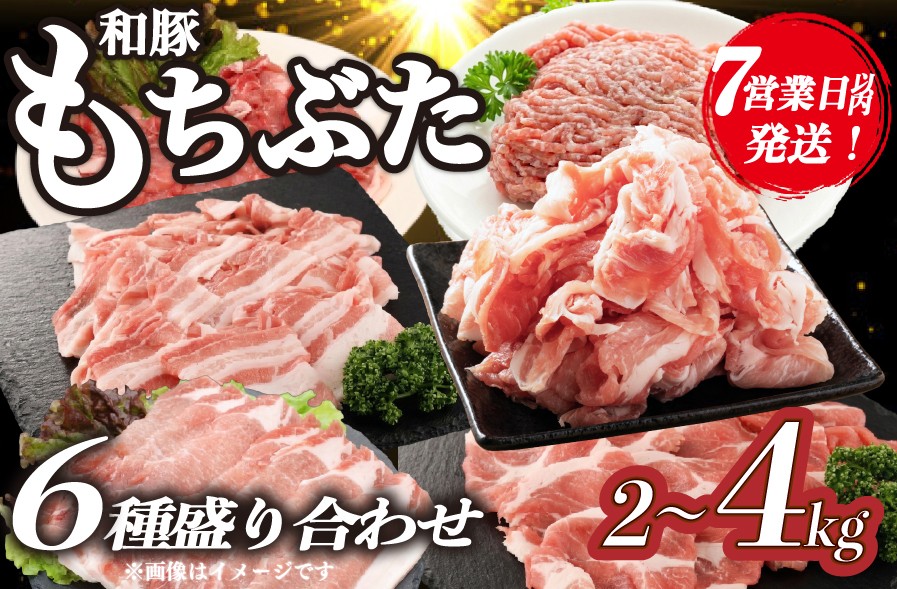 
                  【スピード配送 7日以内発送】豚肉 和豚 もちぶた バラエティパック 2kg 4kg 肩ロース バラ ロース もも ひき肉 小間切れ 食べ比べ ブランド豚 和豚もちぶた ブランド 美味しい豚 豚肉 肉 にく 肉料理 夕食 晩ごはん ポーク おかず 小分け 便利 肉の片山 新潟県 新発田市 katayama007P
                