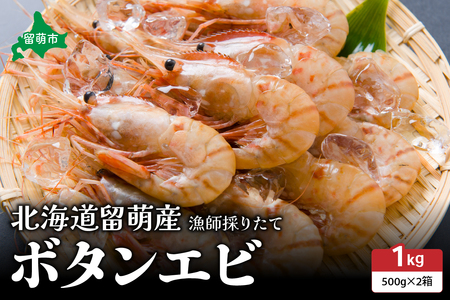 【漁師採りたて　留萌産】ボタンエビ　500ｇ×2