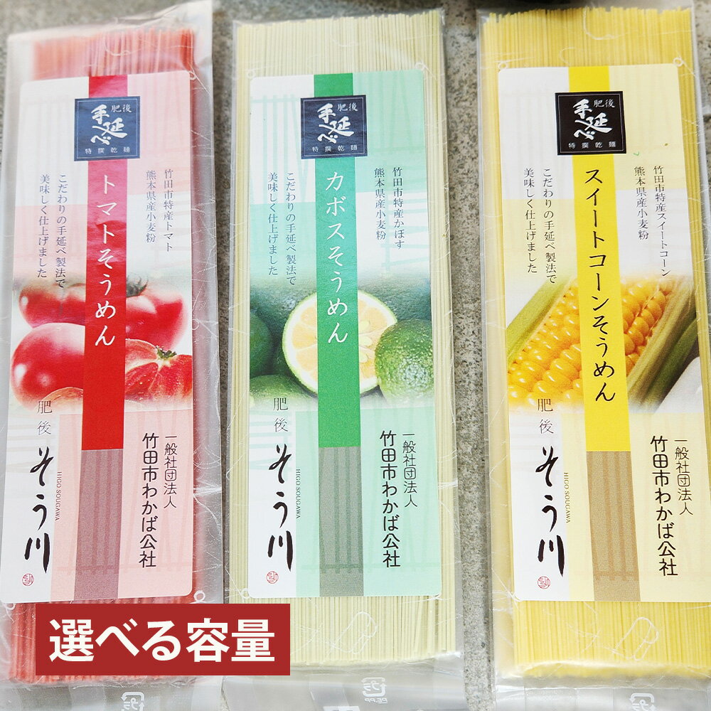 【ふるさと納税】＜選べる内容量＞竹田3色そうめん（スイートコーン・かぼす・トマト） 計3袋（各1袋）・計6袋（各2袋） 1袋あたり約90g 素麵 そーめん 麵類 カボス 野菜 小麦粉 熊本県産 国産 九州 大分県 竹田市 送料無料