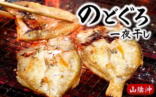のどぐろ(赤睦)開き一夜干し　中型サイズ2枚【数量限定】個包装でお届け