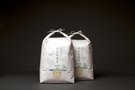 *【令和7年度産先行予約】コシヒカリ 10kg（精米） | 米 こめ コメ お米 白米 はくまい 精米 コシヒカリ 特別栽培米 栽培米 優秀賞 金賞 長野県 松川村 信州